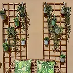 Mandarina 326 Апартаменты *