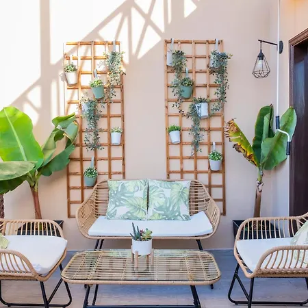 Mandarina 326 圣米格尔德阿沃纳